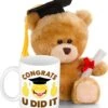 Geslaagd Gefeliciteerd Cadeau Mok / Beker Inclusief Afstudeer Kado Knuffel