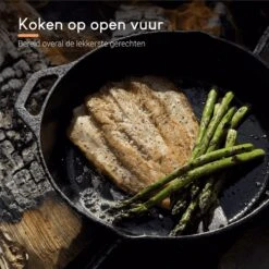 Ocina Gietijzeren Pan – ø30,5cm - Skillet - Koekenpan – Hapjespan – Koekenpan Inductie – Koekenpannenset - Gietijzeren Pan Bbq - Gietijzer 13 Ocina Gietijzeren Pan – ø30,5cm - Skillet - Koekenpan – Hapjespan – Koekenpan Inductie – Koekenpannenset - Gietijzeren Pan Bbq - Gietijzer -Keukenheld Verkoopwinkel 1200x1200 413