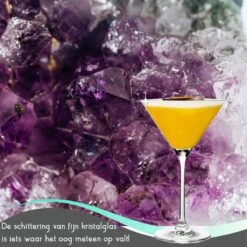 TEN Kristallen Espresso Martini Glazen 6 Stuks - Espresso Glazen 240ml + 40 Cocktail Recepten -Keukenheld Verkoopwinkel 1200x1200 755