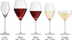 Libbey Champagneglas Iduna – 200 Ml / 20 Cl - Set Van 6 - Elegant Design - Hoge Kwaliteit - Vaatwasserbestendig 11 Libbey Champagneglas Iduna – 200 Ml / 20 Cl - Set Van 6 - Elegant Design - Hoge Kwaliteit - Vaatwasserbestendig -Keukenheld Verkoopwinkel 1200x671 2