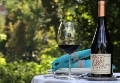 Schott Zwiesel Diva Bourgogne Wijnglas - 0,46 L - 6 Stuks -Keukenheld Verkoopwinkel 1200x837 2