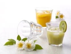 Duralex Picardie Waterglas - 220ml - Gehard Glas - 6 Stuks 34 Duralex Picardie Waterglas - 220ml - Gehard Glas - 6 Stuks -Keukenheld Verkoopwinkel 1200x910 5