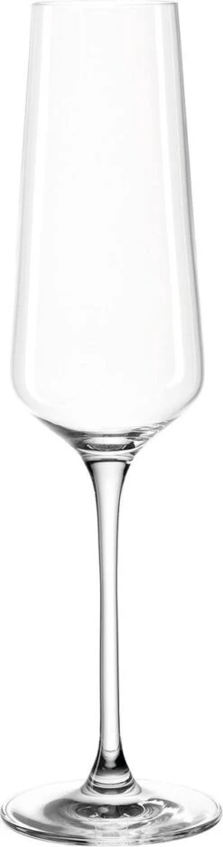 Leonardo Puccini Champagneglas - 280 Ml - 6 Stuks -Keukenheld Verkoopwinkel 316x1200