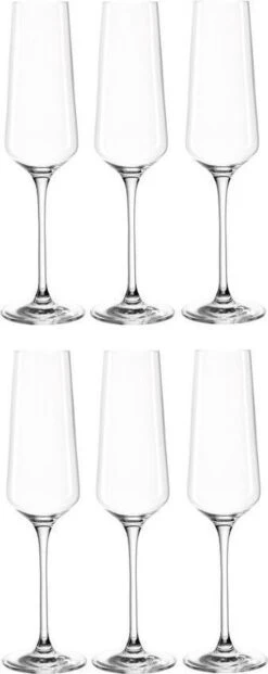 Leonardo Puccini Champagneglas - 280 Ml - 6 Stuks -Keukenheld Verkoopwinkel 477x1200