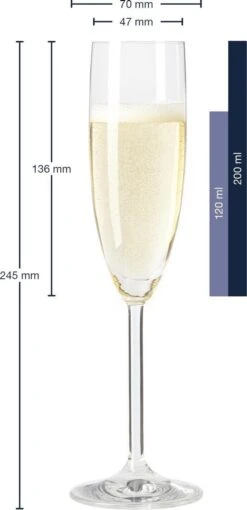 Leonardo Daily Champagneglas - 180 Ml - 6 Stuks -Keukenheld Verkoopwinkel 581x1200