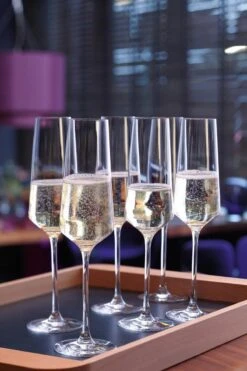 Leonardo Puccini Champagneglas - 280 Ml - 6 Stuks -Keukenheld Verkoopwinkel 800x1200 30