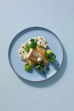 Palmer Serviesset Antigo Porselein 6-persoons 24-delig Lichtblauw 15 Palmer Serviesset Antigo Porselein 6-persoons 24-delig Lichtblauw -Keukenheld Verkoopwinkel 800x1200 39