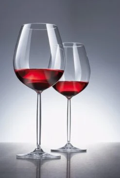 Schott Zwiesel Diva Bourgogne Wijnglas - 0,46 L - 6 Stuks -Keukenheld Verkoopwinkel 810x1200