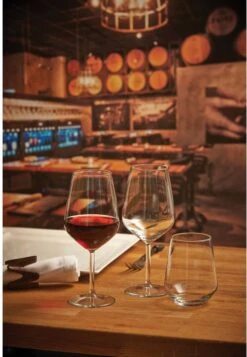 Pasabahce Allegra 49 Cl Wijnglas Doos 6 Stuks -Keukenheld Verkoopwinkel 830x1200