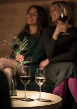 Schott Zwiesel Pure Riesling Wijnglas - 300 Ml - 6 Stuks 16 Schott Zwiesel Pure Riesling Wijnglas - 300 Ml - 6 Stuks -Keukenheld Verkoopwinkel 850x1200