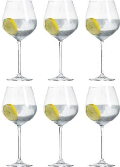 Schott Zwiesel Fortissimo Bourgogne Wijnglazen - 0.727 L - 6 Stuks