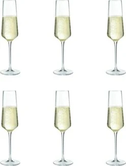 Leonardo Puccini Champagneglas - 280 Ml - 6 Stuks -Keukenheld Verkoopwinkel 912x1200 3