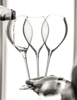 Lehmann Jamesse Champagneglazen 28.5cl 8 Lehmann Jamesse Champagneglazen 28.5cl -Keukenheld Verkoopwinkel 925x1200 3